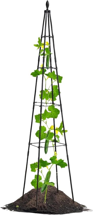Plantenkatapult - Klimplantsteun Rooster - Verticale Plantengroei - In Hoogte Verstelbaar - 160 cm - Zwart