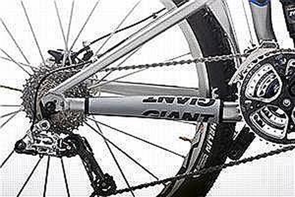Giant Chainstay protector MTB maat S kettingbeschermer bol