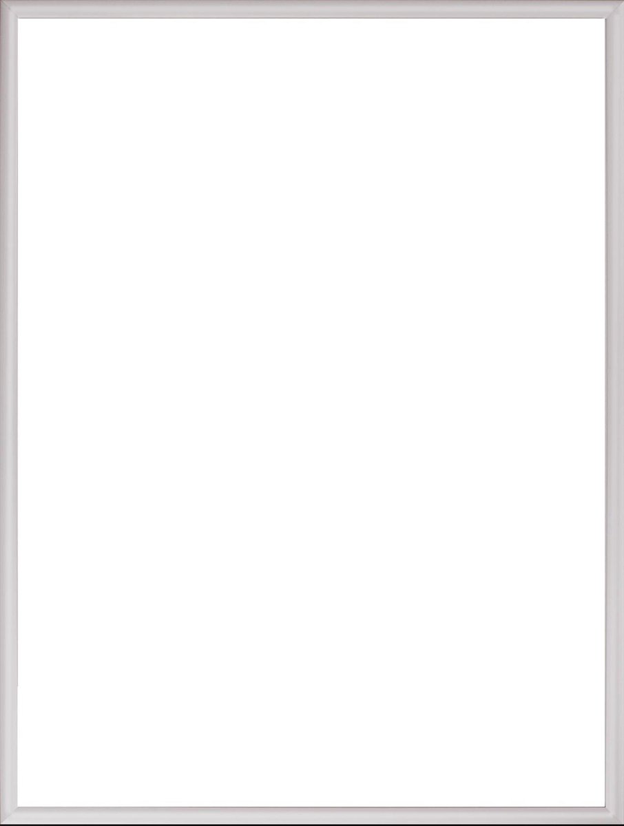 Homedecoration Almelo – Fotolijst – Fotomaat – 55 x 99 cm – Zilver Mat