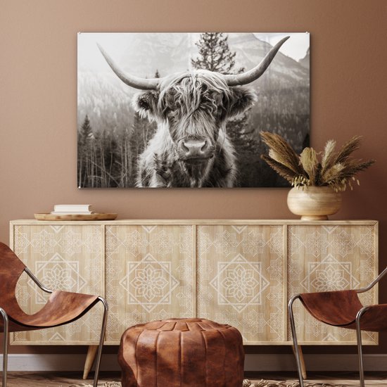 MuchoWow® Peinture sur Verre - Highlander écossais - Vache - Animaux - Zwart - Wit - 90x60 cm - Peintures sur Verre Acrylique - Photo sur Glas