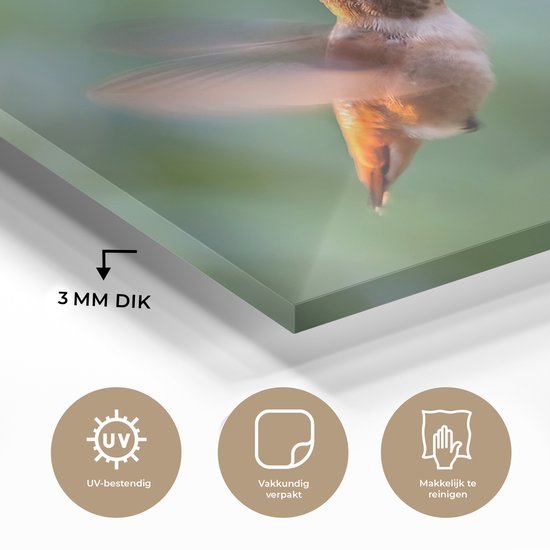 MuchoWow® Peinture sur verre - Vogel - Colibri - Bloem - 40x30 cm - Peintures sur verre acrylique - Photo sur Glas