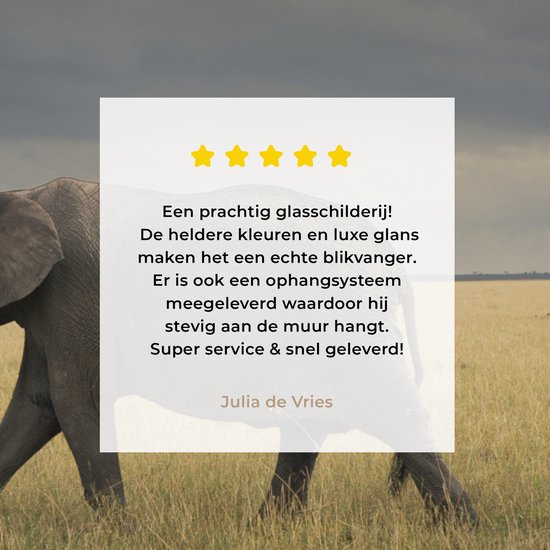 ® Glasschilderij 120x90 cm - Schilderij acrylglas - Olifant - Savanne - Dieren - Natuur - Foto op glas - Muurdecoratie woonkamer - Wanddecoratie slaapkamer - Schilderijen