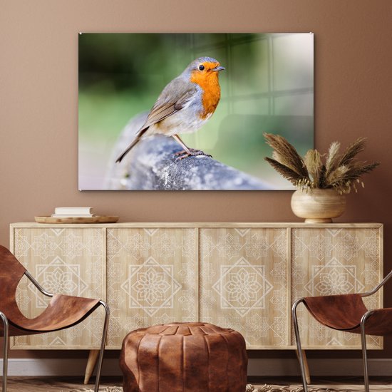 Robin sur une clôture en bois Plexiglas 120x80 cm - Tirage photo sur Glas (décoration murale en plexiglas)