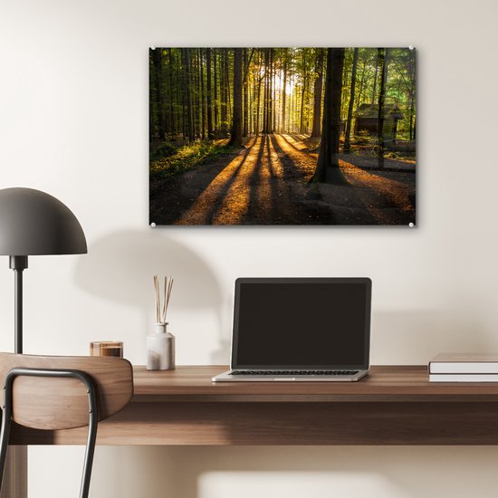 Peinture sur verre - Peinture sur verre intérieur - Forêt - Soleil - Nature - Paysage - Verre acrylique - Photo sur verre - Peinture sur verre - 60x40 cm - Décoration murale - Salon