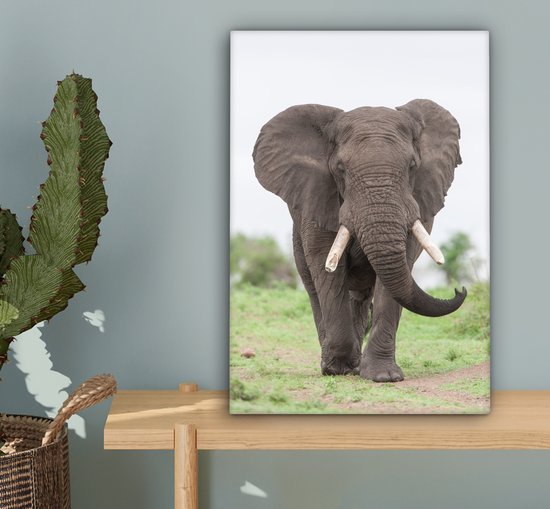 Peintures sur toile - Éléphant venant en sens inverse - 20x30 cm - Décoration murale