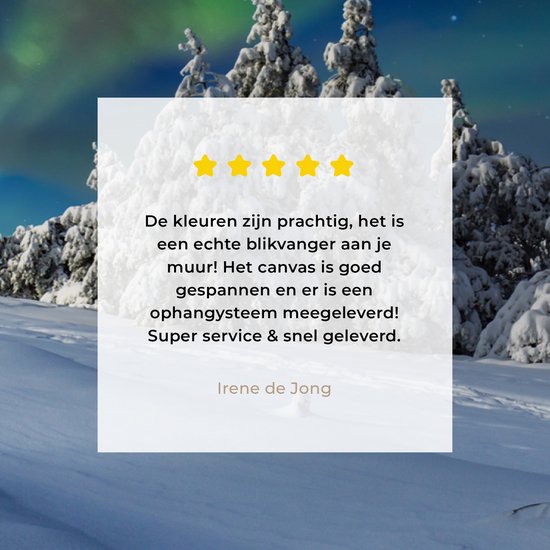 Aurores boréales au-dessus d'un paysage d'hiver avec des arbres toile 2cm 30x20 cm - petit - Tirage photo sur toile (Décoration murale salon / chambre) / phénomènes naturels Peintures sur toile