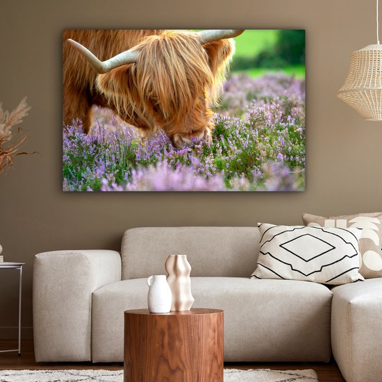 Close-up highlander écossais sent la toile de bruyère violette 2cm