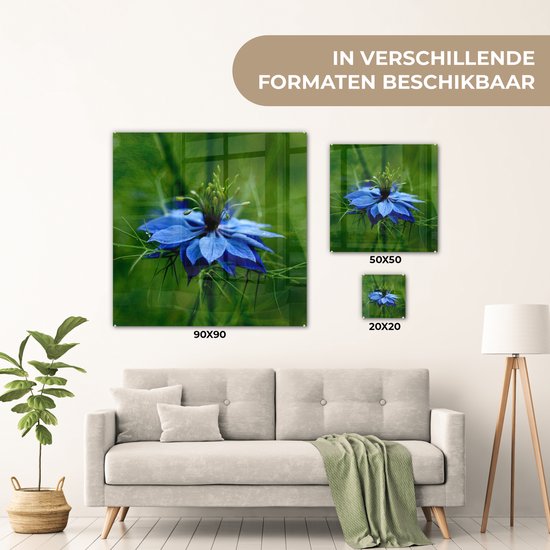 Peinture sur verre MuchoWow® 50x50 cm - Peinture acrylique sur verre - Une fleur de nigelle dans un environnement verdoyant - Photo sur verre - Peintures