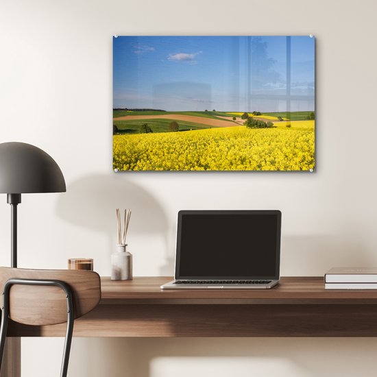 MuchoWow® Peinture sur verre 60x40 cm - Peinture sur verre acrylique - Printemps - Fleurs - Jaune - Photo sur verre - Peintures