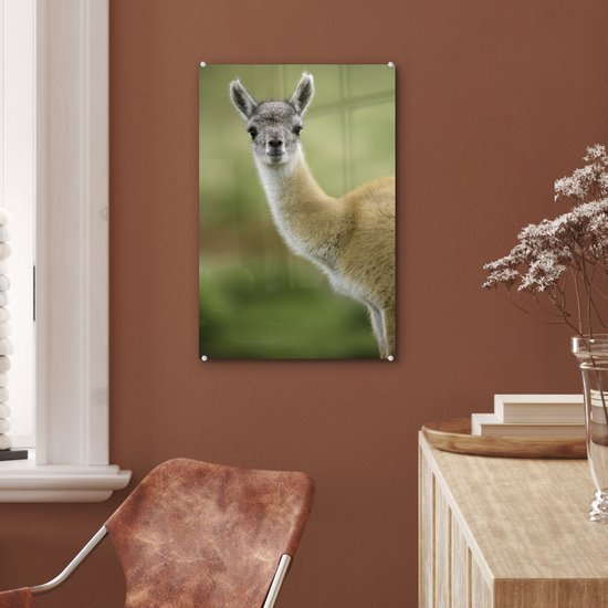 MuchoWow® Peinture sur verre 40x60 cm - Peinture sur verre acrylique - Lama - Animaux - Portrait - Photo sur verre - Peintures