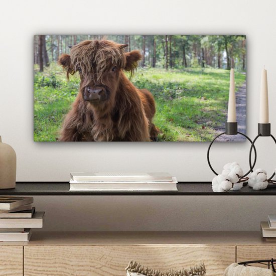 Tableau sur Toile Scottish Highlander - Crapaud - Animaux - 40x20 cm - Décoration murale