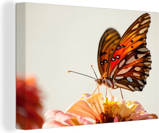Canvas - Vlinder - Insect - Bloemen - Natuur - Muurdecoratie - Schilderijen op canvas - Canvasdoek - 180x120 cm