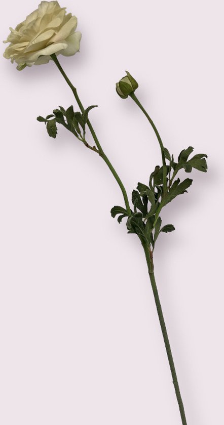 Zijden kunstbloem Ranonkel | Wit| Lengte 82 centimeter