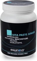 Vita Paste Junior Equinova Supplement