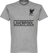 Liverpool Team T-Shirt - Grijs - Kinderen - 10 Years