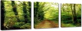 Schilderij - Natuur Pad Bomen, Groen, 150X50cm, 3luik