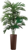 HTT - Kunstplant Areca palm in Clou rond bruin H200 cm