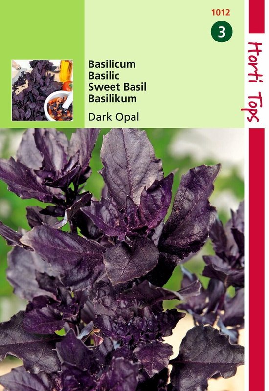 2 stuks – Hortitops – Basilicum Rode Dark Opal