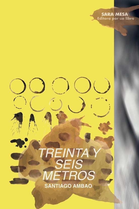 Treinta y seis metros - cover