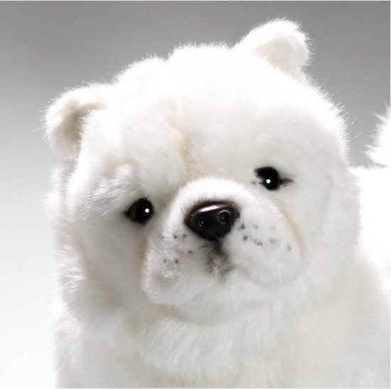 Snelkoppelingen Vuiligheid Speciaal Pluche witte Chowchow hond knuffel 27 cm - Honden huisdieren knuffels -  Speelgoed voor... | bol.com