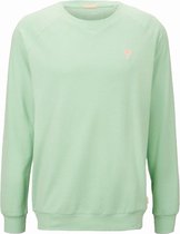 Tom Tailor Denim Lange mouw T-shirt - 1019090 MidGroen (Maat: M)