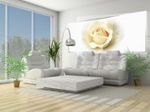 White Rose Wood Plankets Photo Wallcovering