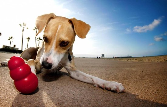 KONG Classic - Snackbal Honden Speelgoed - Rubber - 10.16cm - Rood - Maat L