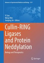 Advances in Experimental Medicine and Biology 1217 - Cullin-RING Ligases and Protein Neddylation