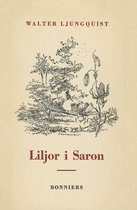 Jerk Dandelin 2 - Liljor i Saron : (kanske inte en roman)