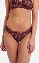 Shiwi Ladies butterfly brief Havana - bruin - 34