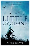 Little Cyclone