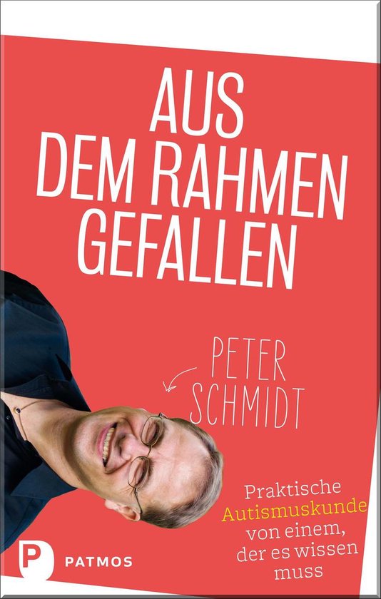 Aus dem Rahmen gefallen - cover