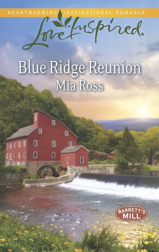 Blue Ridge Reunion (Mills & Boon Love Inspired) (Barrett's M ... - cover