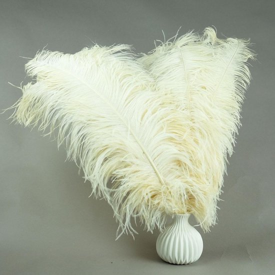 romantisch wrijving Disciplinair Struisvogelveren 5 stuks - 45-60 cm Struisvogel veren - creme wit -  decoratie veren | bol.com