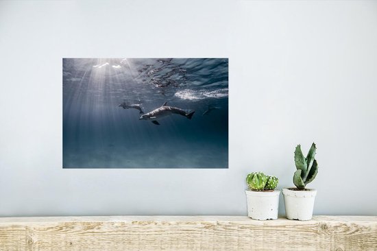 Affiche Photo sous-marine de dauphins - 30x20 cm