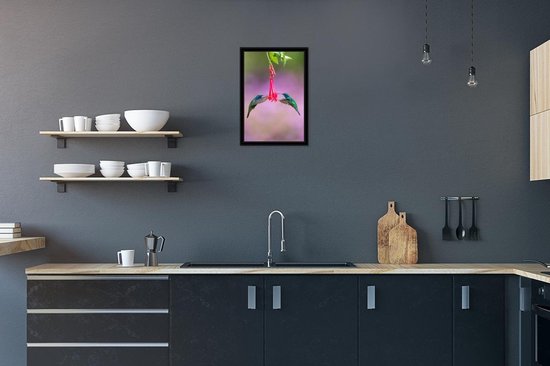 Fotolijst incl. Poster - Vogel - Kolibrie - Blauw - Rood - 20x30 cm - Posterlijst