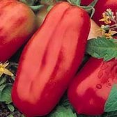 Tomaten zaden - San Marzano