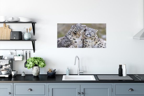 Snow leopard lécher son enfant poster papier 60x40 cm - Tirage photo sur Poster (décoration murale salon / chambre) / Poster Animaux sauvages