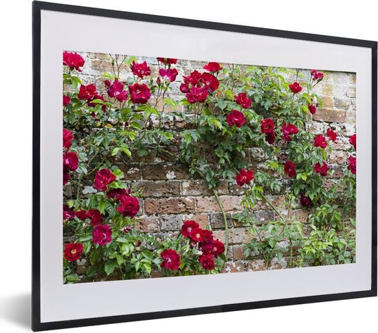 Fotolijst incl. Poster - Klimplant met rode bloemen op een stenen muur -  40x30 cm -... | bol.com