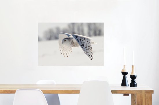 Snowy Owl survole un paysage d'hiver Poster 60x40 cm - Tirage photo sur Poster (décoration murale salon / chambre)