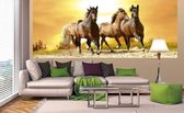 Dimex Horses in Sunset Vlies Fotobehang 375x150cm 2-delen