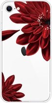 Voor iPhone SE 2020/8/7 patroon TPU beschermhoes (rode bloem)