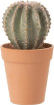 J-Line plant Cactus Bolvormig + Pot - kunststof - groen/terracotta - small