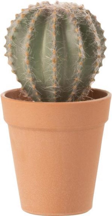 J-Line plant Cactus Bolvormig + Pot - kunststof - groen/terracotta - small