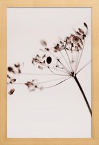 JUNIQE - Poster met houten lijst Dried Flowers Anetum 1 -13x18 /Bruin