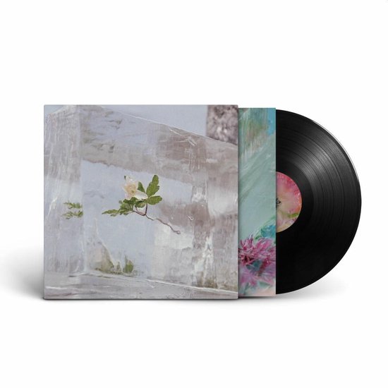 Wildflowers, Efterklang Vinyles (album) Musique