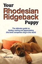Your Rhodesian Ridgeback Puppy