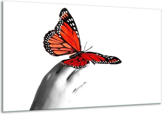 Peinture sur toile Papillon | Rouge, blanc, noir | 120x70cm 1Hatch | bol.com