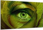 Glasschilderij Oog - Groen, Bruin - 120x70cm 1Luik - Foto Op Glas - Geen Acrylglas Schilderij - GroepArt 6000+ Glasschilderijen Art Collectie - Wanddecoratie - Woonkamer - Slaapkamer