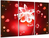 Peinture sur toile Fleur | rouge blanc | 120x80cm 3 Liège